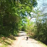 Jolie Maison Familiale Proche Et Océan * Biarritz